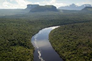 Bosque Nacional Alexander von Humboldt